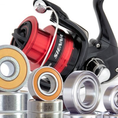 Fishing reel bearing